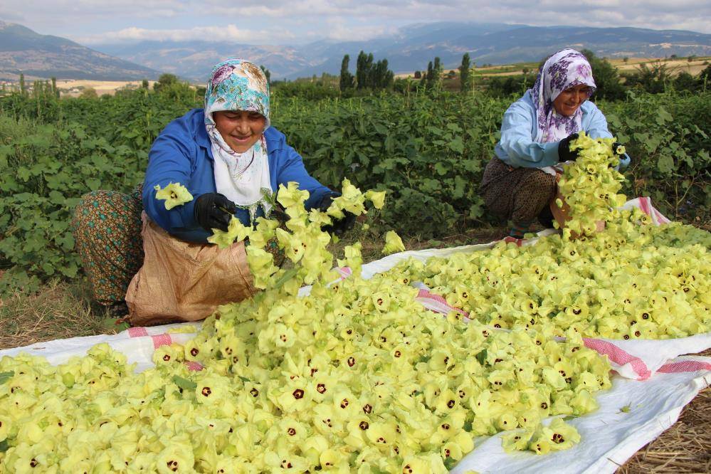 Konya’da düğünlerin vazgeçilmez lezzeti! Kilosu altınla yarışıyor 7